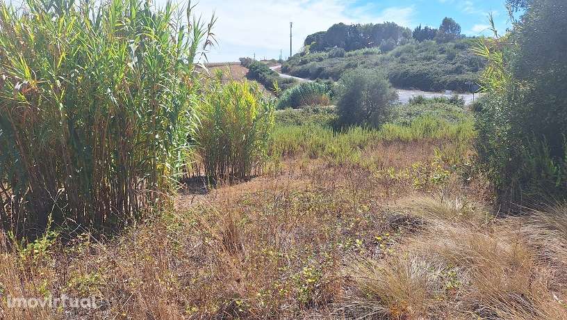 Terreno, 19 840 m², Pontével - Grande imagem: 3/4