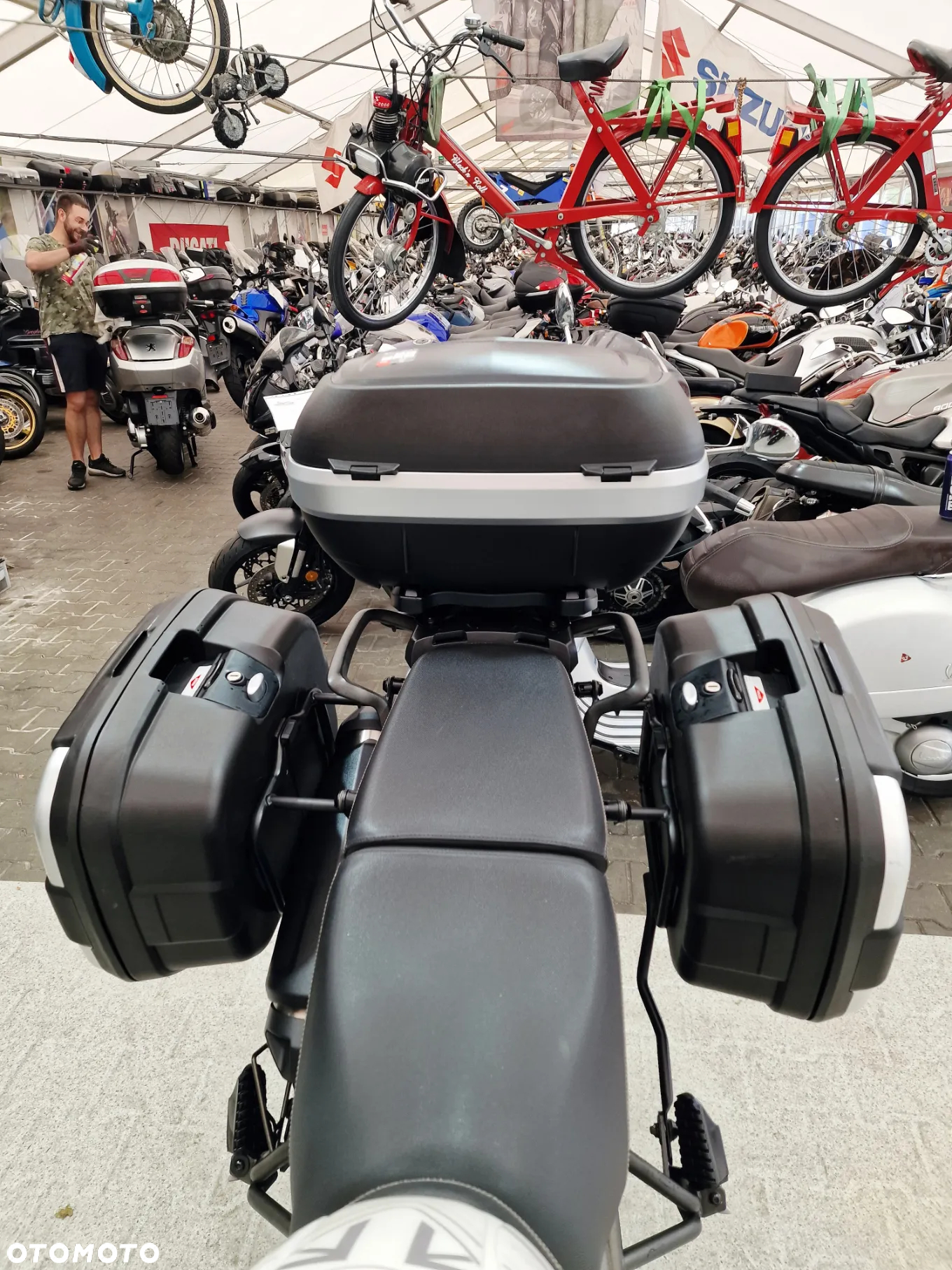Triumph Tiger - 25