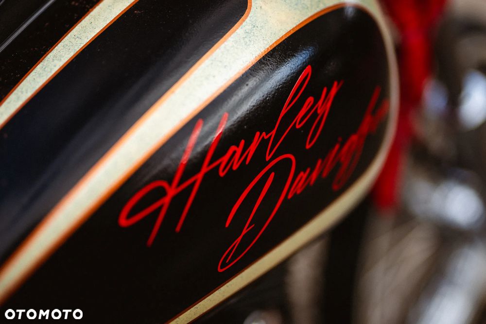 Harley-Davidson Softail - 4