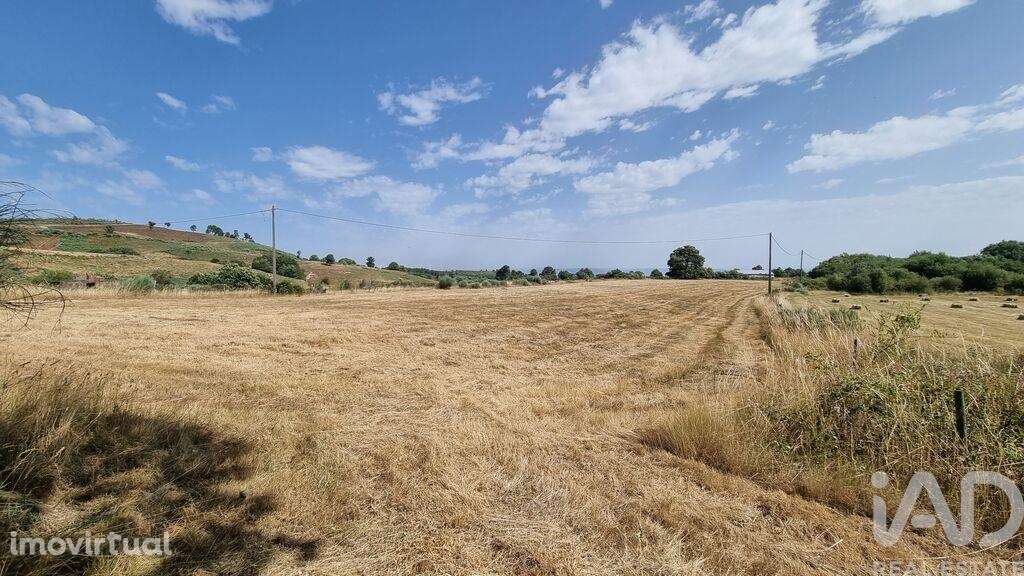 Terreno Agrícola em Prados - Grande imagem: 4/28
