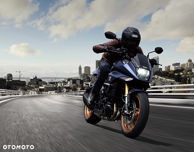 Suzuki Katana - 9