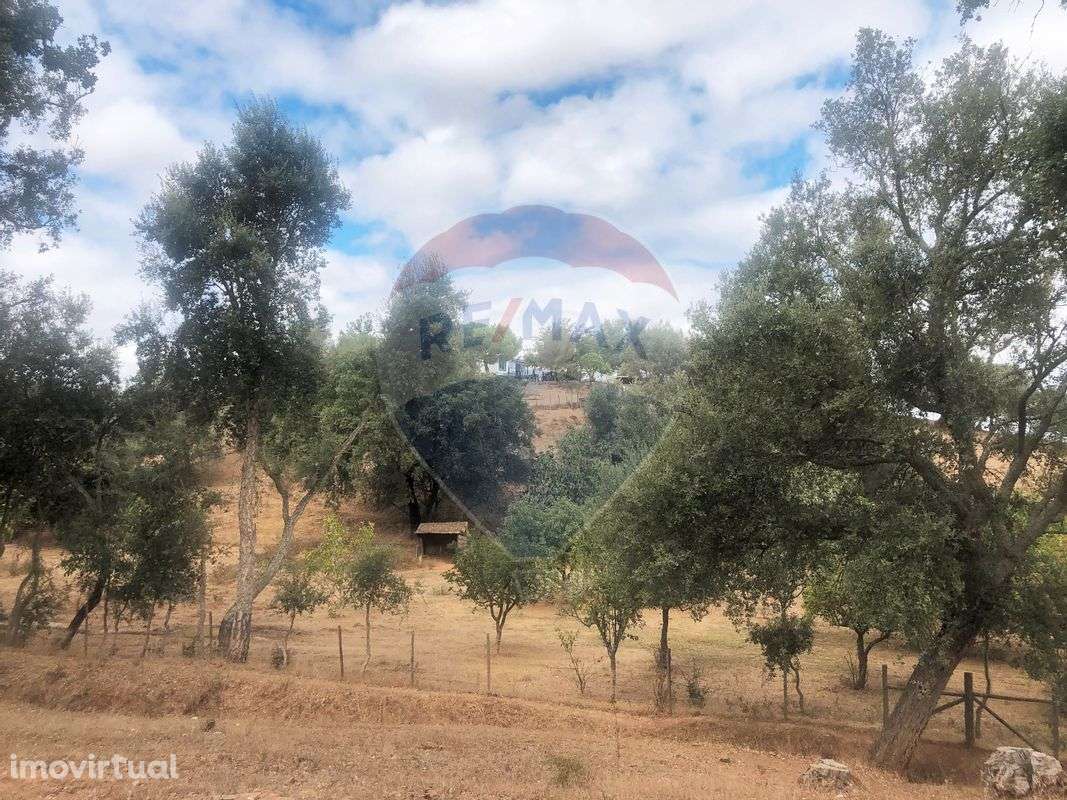 Terreno  para venda - Grande imagem: 5/26