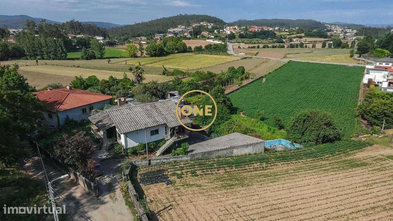 Quinta de Charme com Moradia T3 e Terreno de 9.000 m2 – Um Refúgio Úni - Grande imagem: 4/24