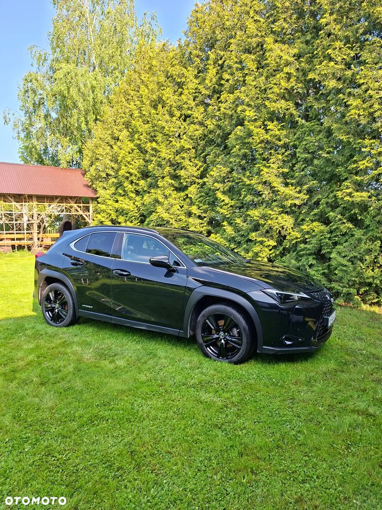 Lexus UX - 14