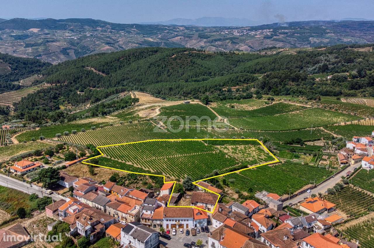 Moradia c/9 divisões, vinha e armazém em Lugar de São Gonçalo, Fava... - Grande imagem: 2/49