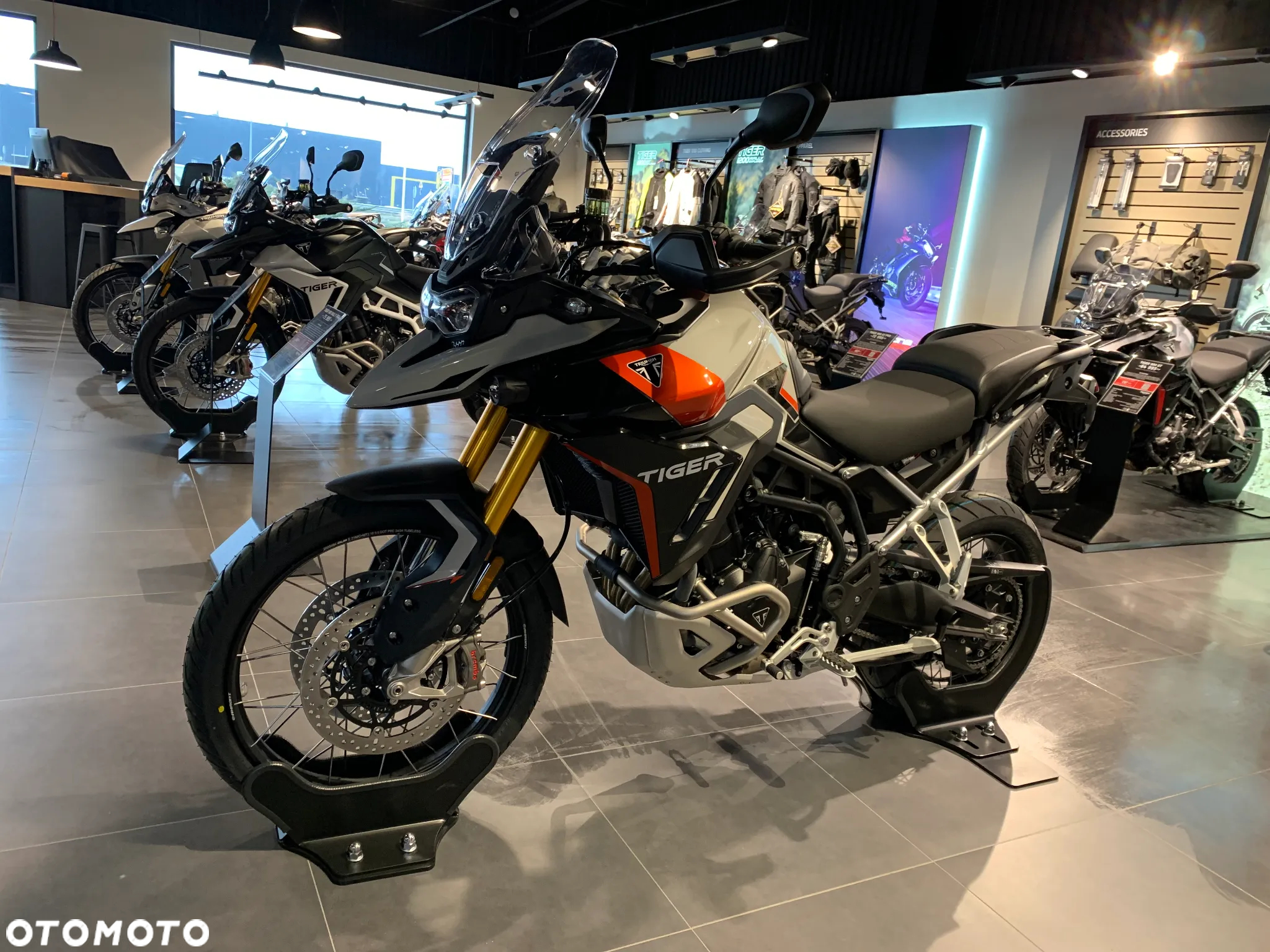 Triumph Tiger - 2