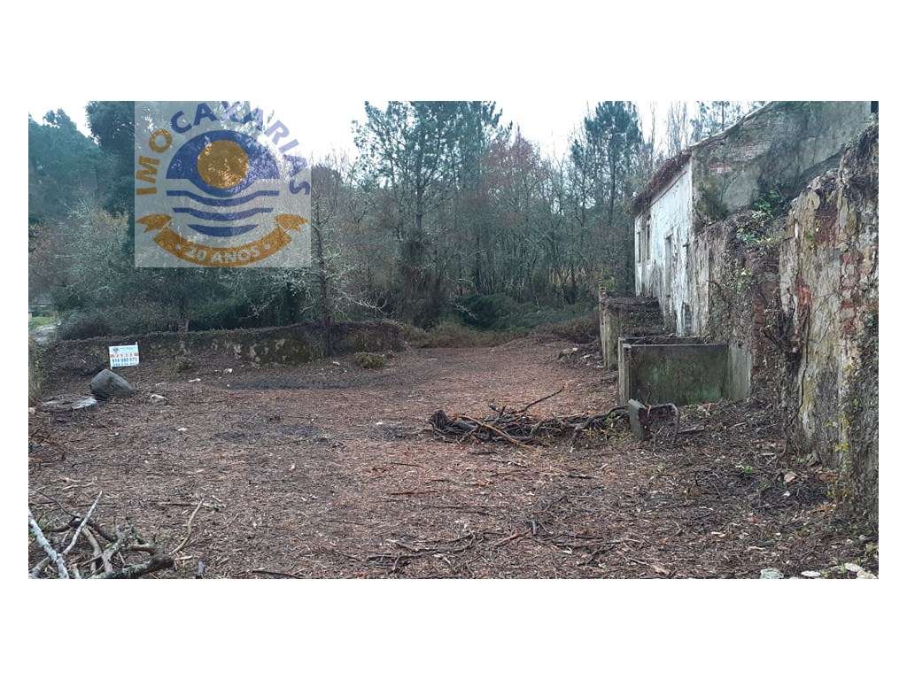 Quintinha para reabilitar T4, com 16 000m2 de Terreno. água em abun... - Grande imagem: 5/9