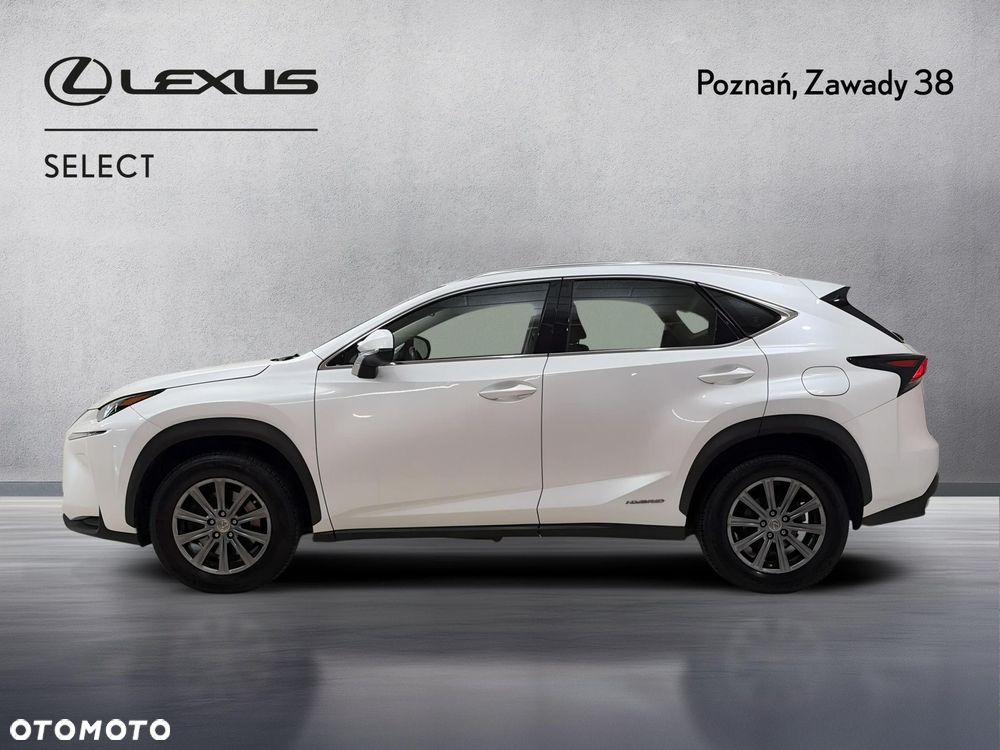 Lexus NX 300h Elite AWD - 5