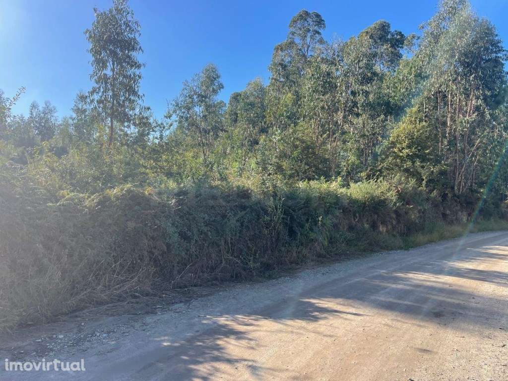 Terreno Industrial - Viatodos - Grande imagem: 2/4