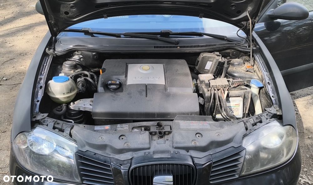 Seat Ibiza - 5