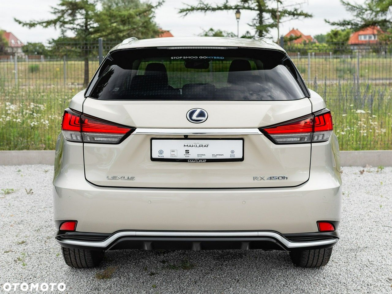 Lexus RX 450h F-Impression - 11