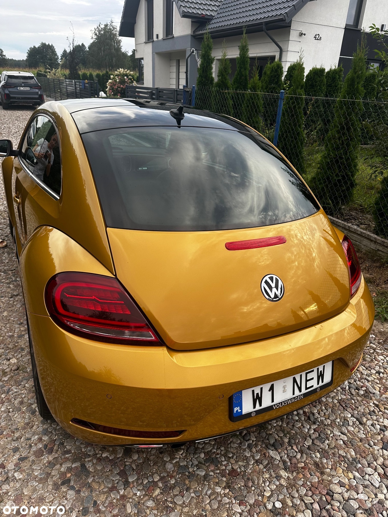 Volkswagen Beetle - 12