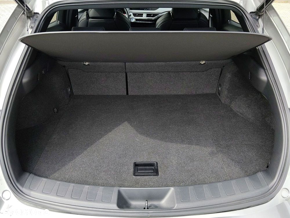 Lexus UX 250h GPF F Sport Edition 2WD - 36