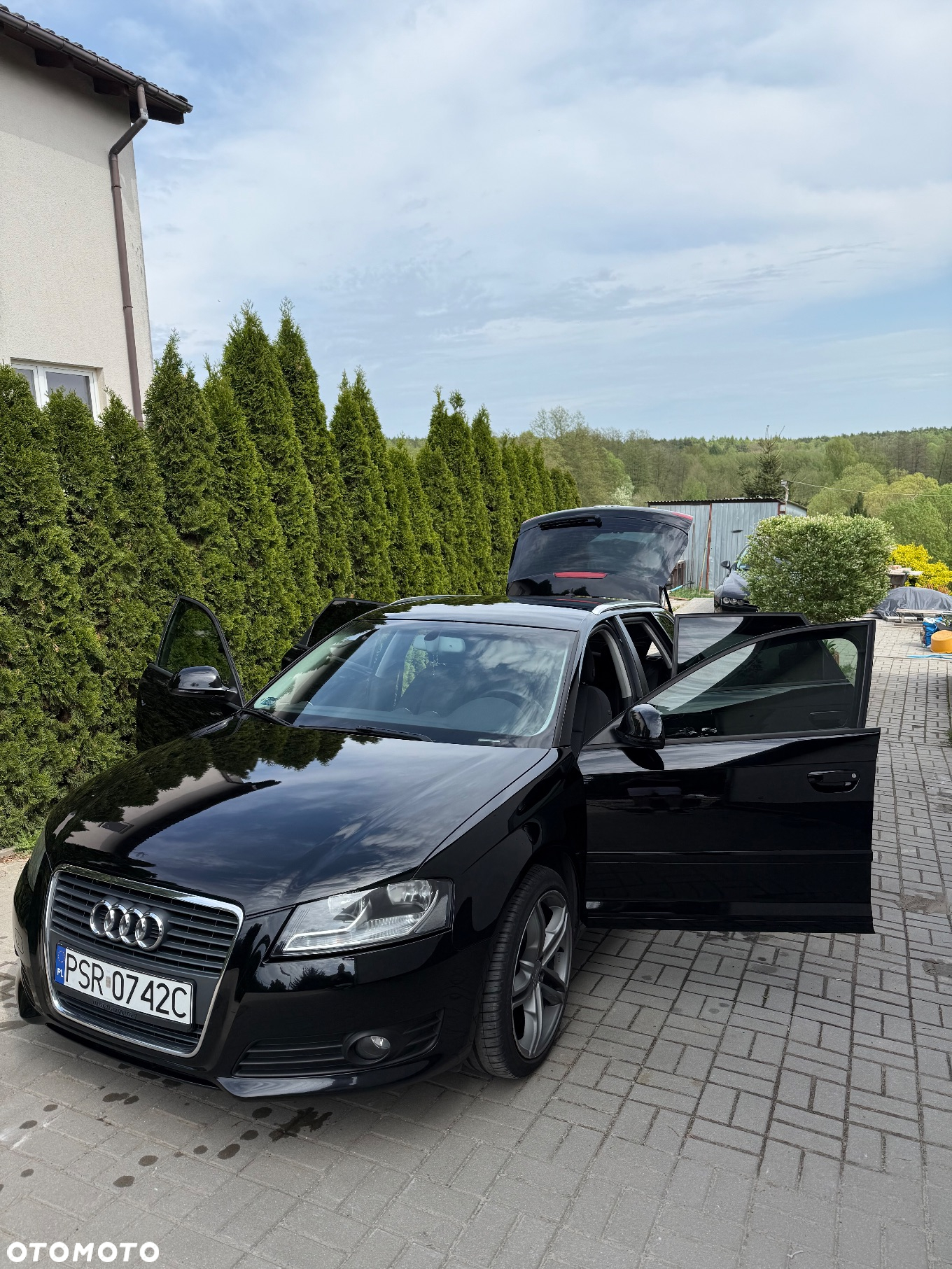 Audi A3 - 5