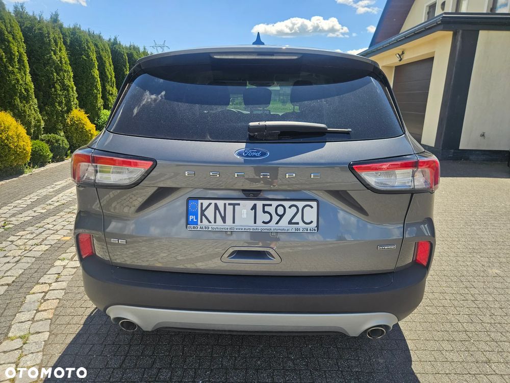 Ford Escape - 7