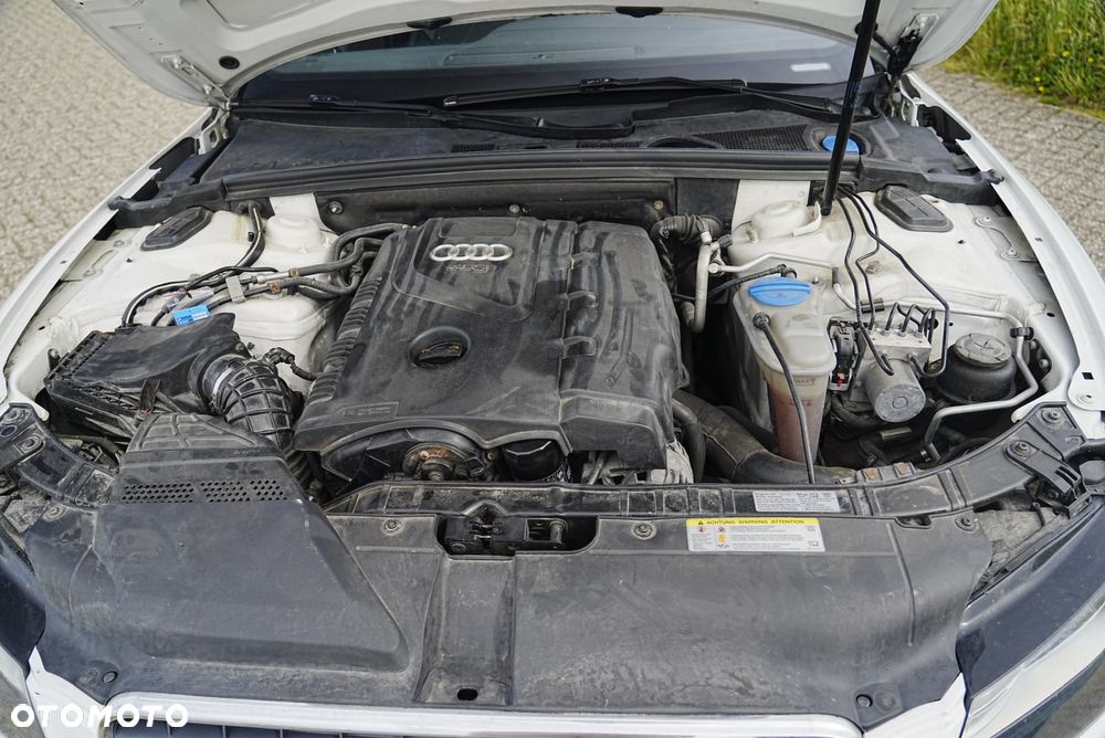 Audi Inny - 8