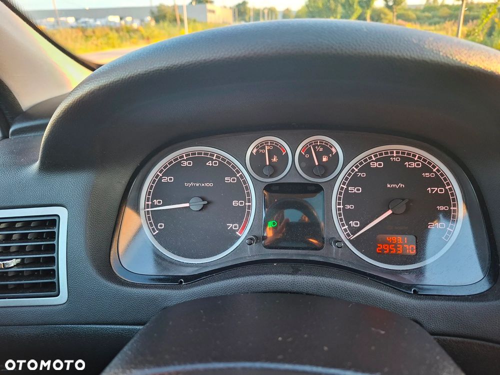Peugeot 307 2.0 - 19