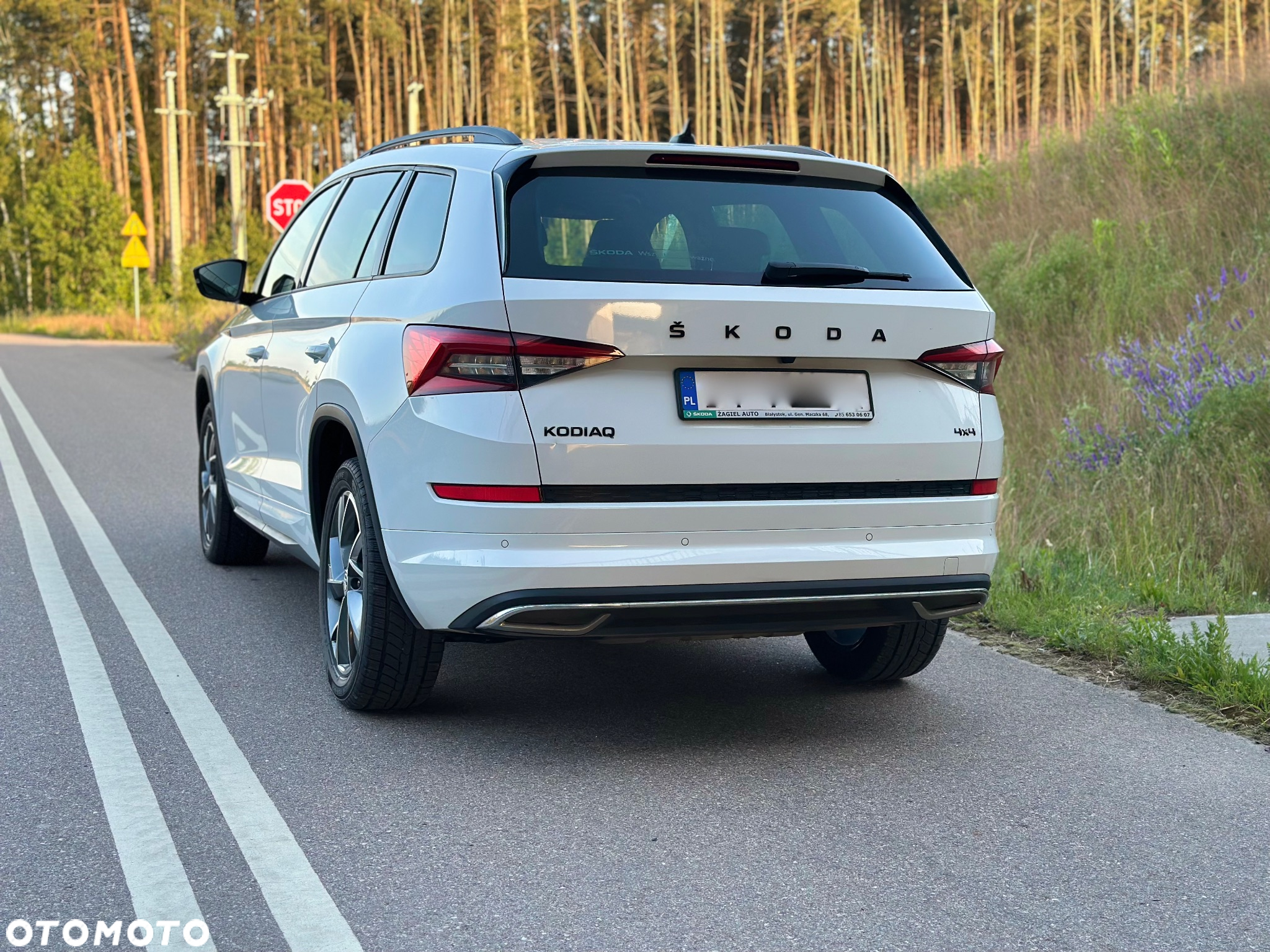 Skoda Kodiaq 2.0 TSI 4x4 Sportline DSG - 12