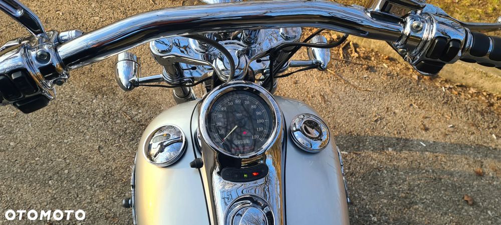 Harley-Davidson Softail - 9