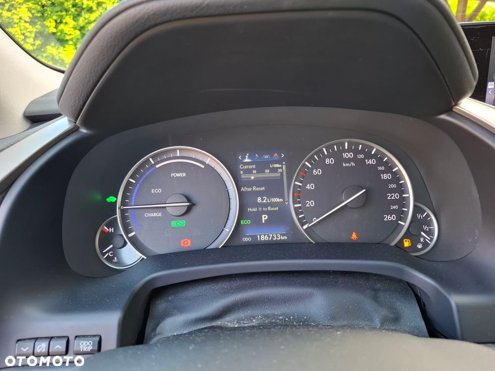 Lexus RX - 12