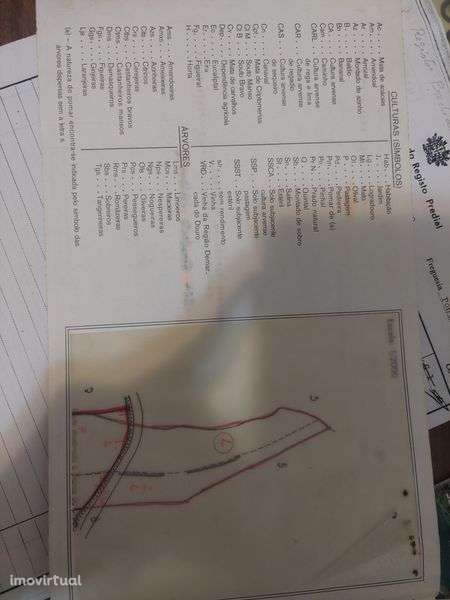 Terreno rural na Ponta Garça (Pico do Calvo) 1.13 ha - Grande imagem: 5/6