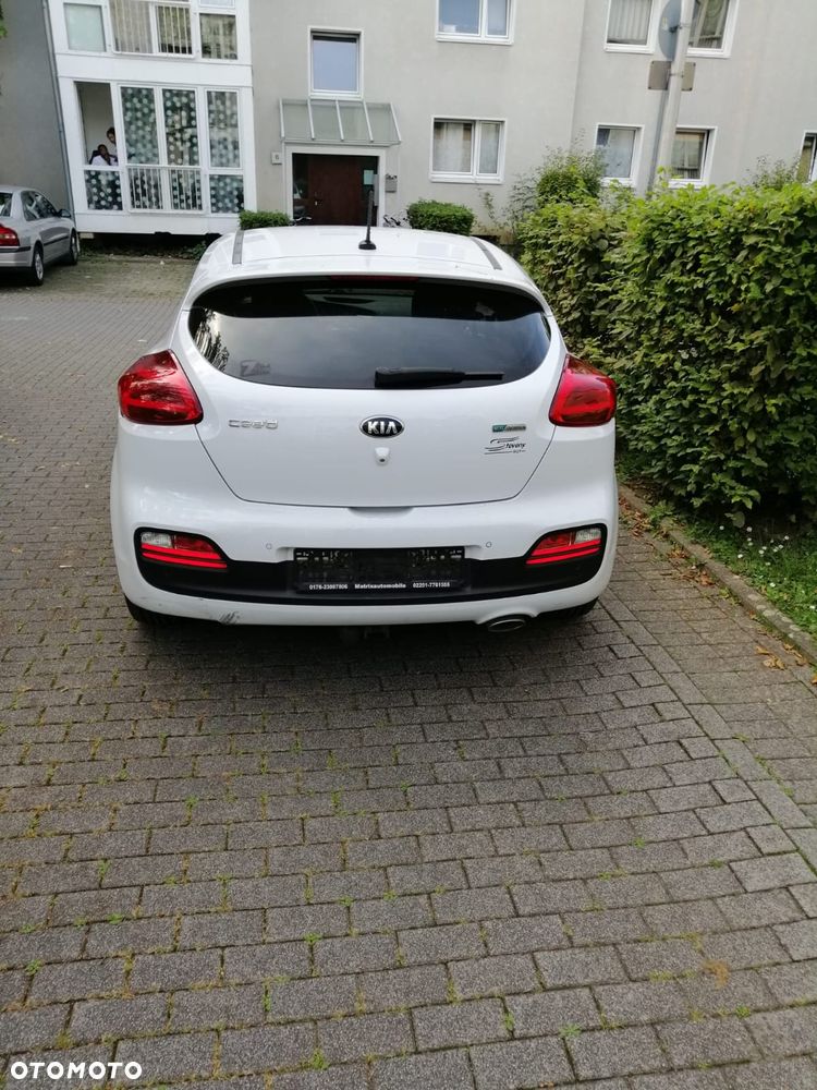 Kia Ceed 1.6 CRDi L - 8