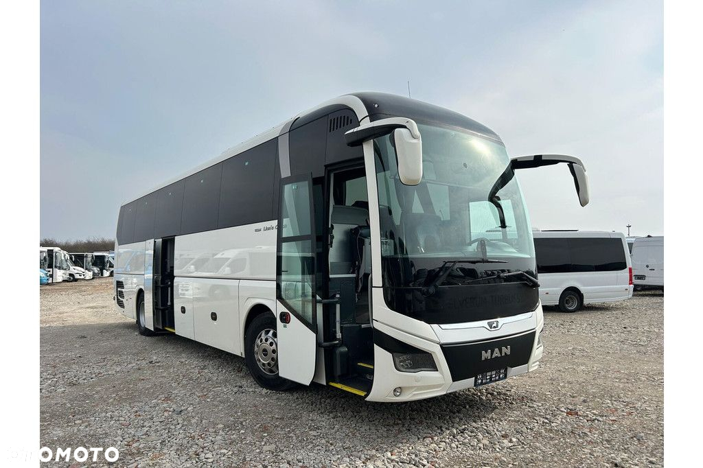 MAN Lions Coach - 25