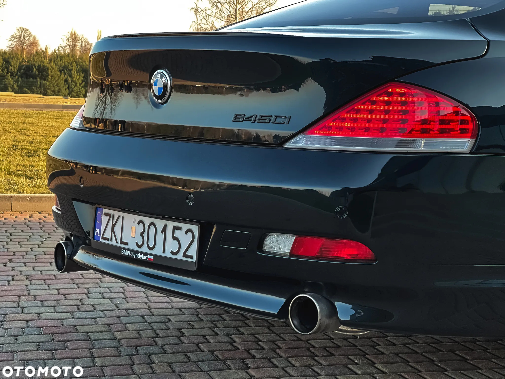 BMW Seria 6 645 Ci - 17