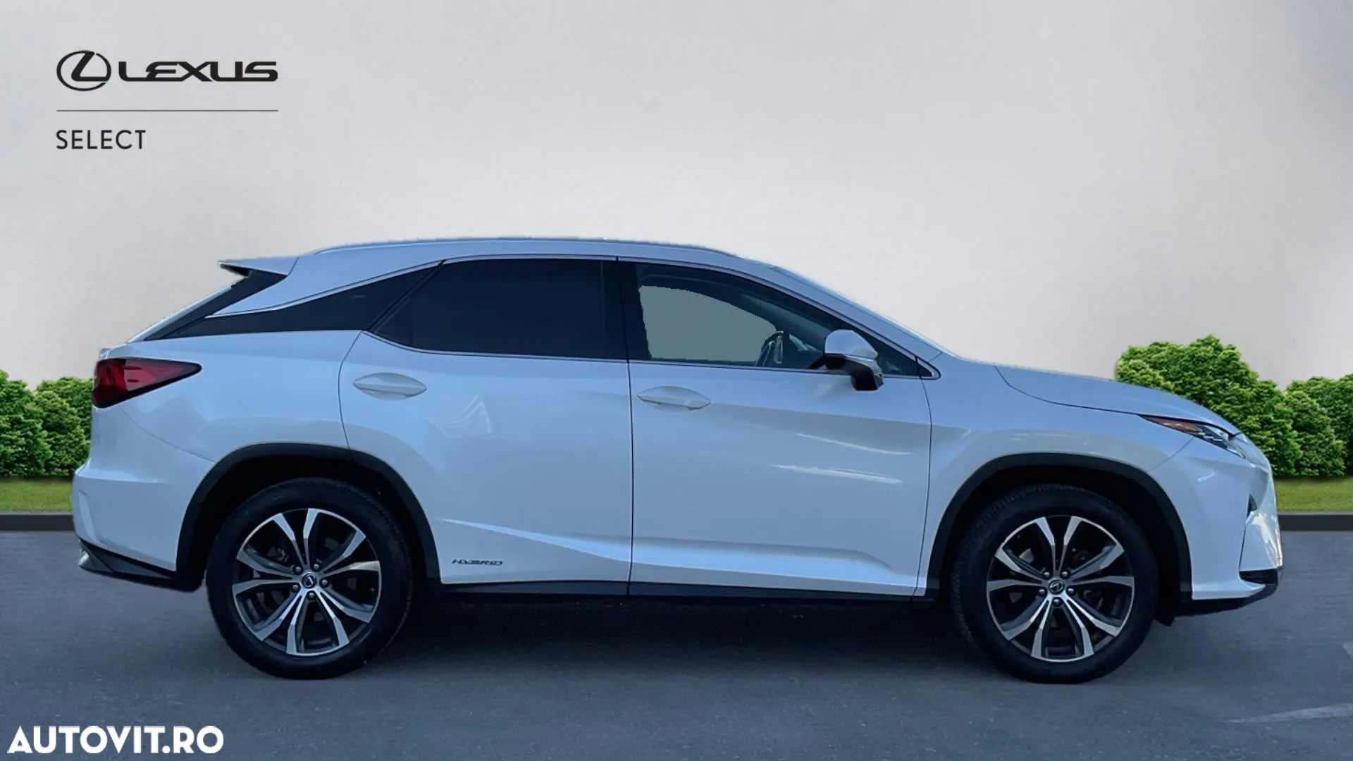 Lexus Seria RX 450h Aut. Executive Plus - 19