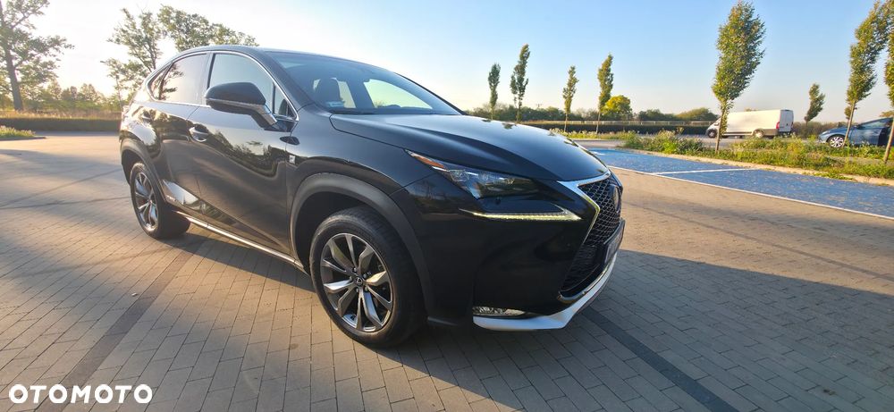 Lexus NX 300h F Sport AWD - 16
