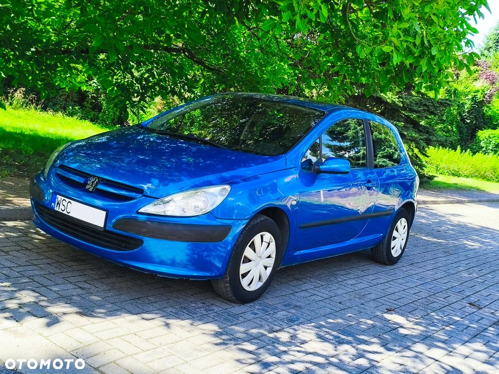 Peugeot 307 1.6 XS - 25