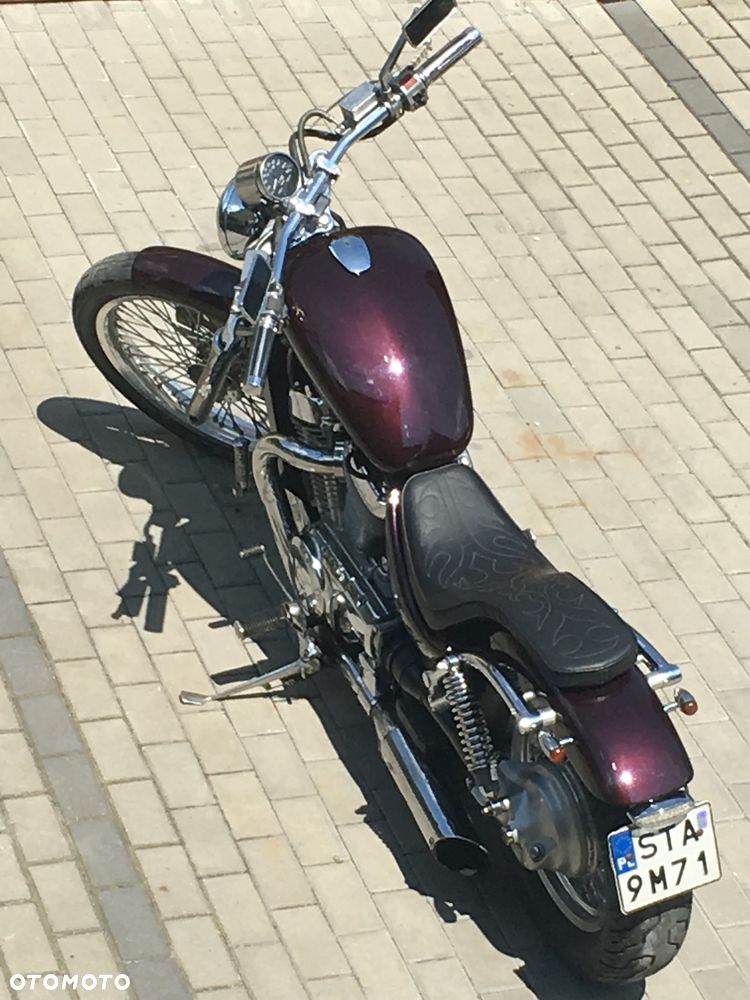Suzuki Intruder - 2