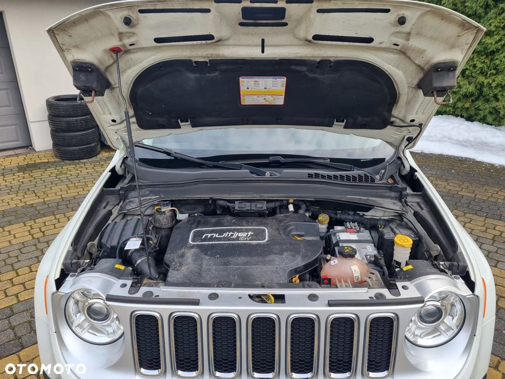 Jeep Renegade 2.0 MultiJet Active Drive Limited Adventure Edition - 20