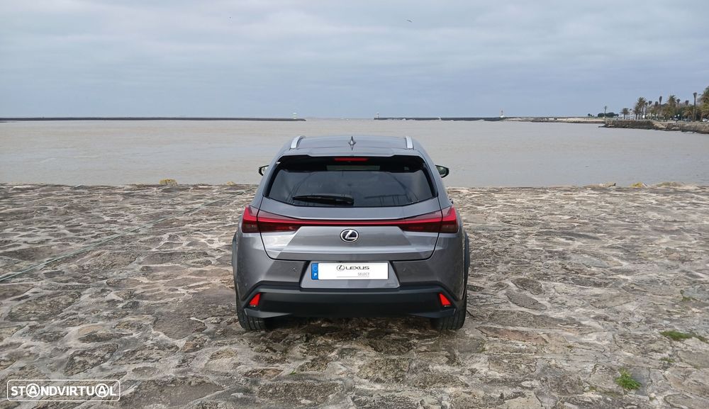 Lexus UX 300e Luxury - 6