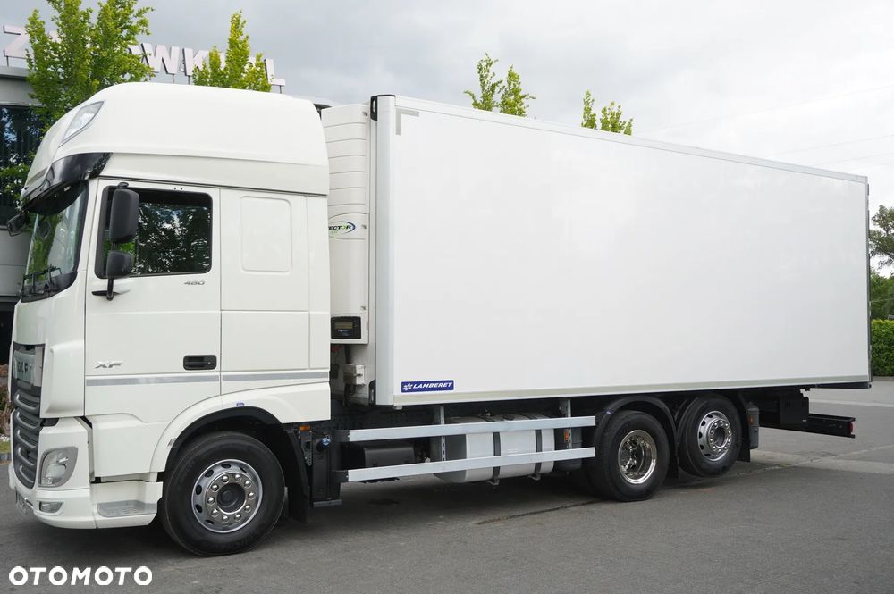 DAF XF 480 Euro 6 / 2021 / Chłodnia Lamberet / Carrier Vector 1550_221299 - 2
