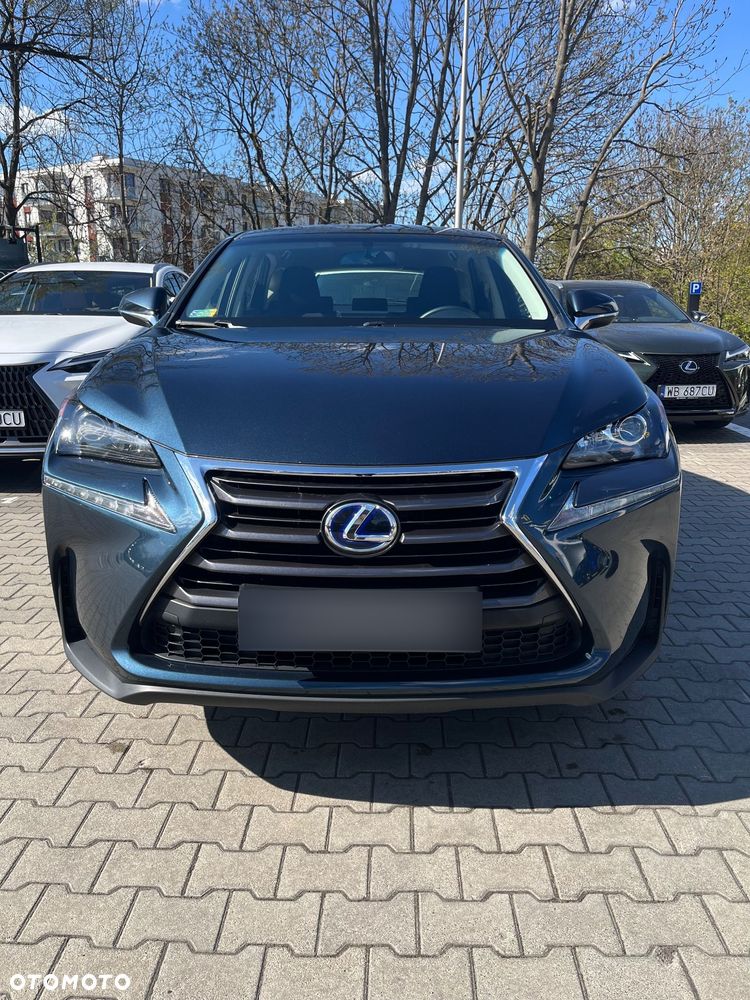 Lexus NX 300h Elite 2WD - 5