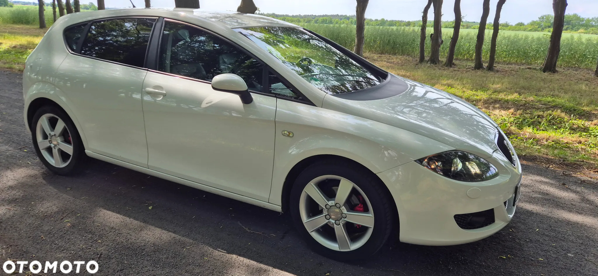 Seat Leon - 8