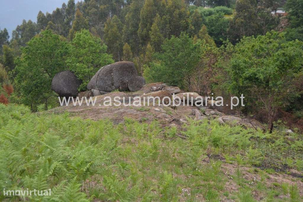 Terreno - Cerdeirinhas / Vieira do Minho - Grande imagem: 3/7