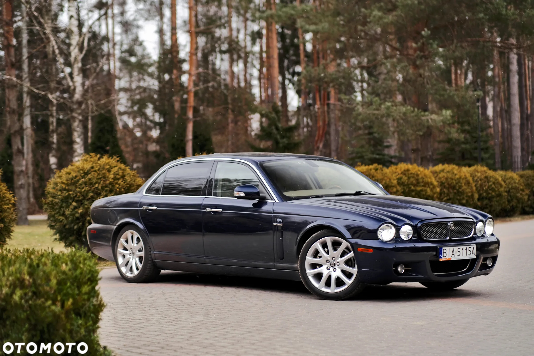 Jaguar XJ XJ8 4.2 LWB Executive - 6