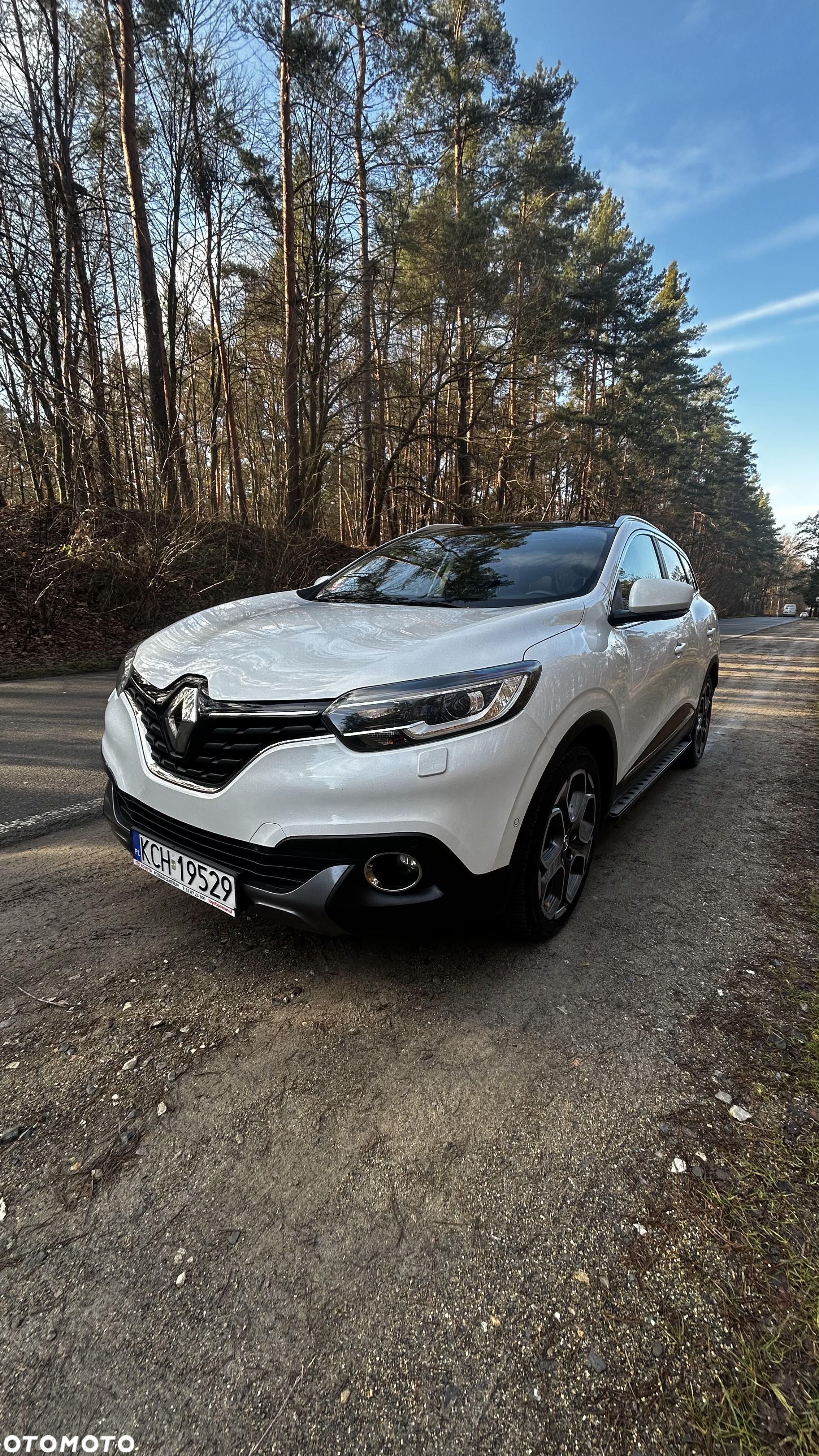 Renault Kadjar 1.2 Energy TCe Limited - 1