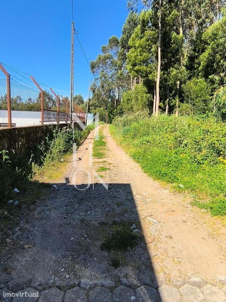 TERRENO | 3800 M2 | GRIJÓ - Grande imagem: 2/7