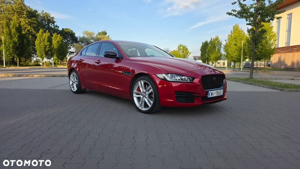Jaguar XE - 39