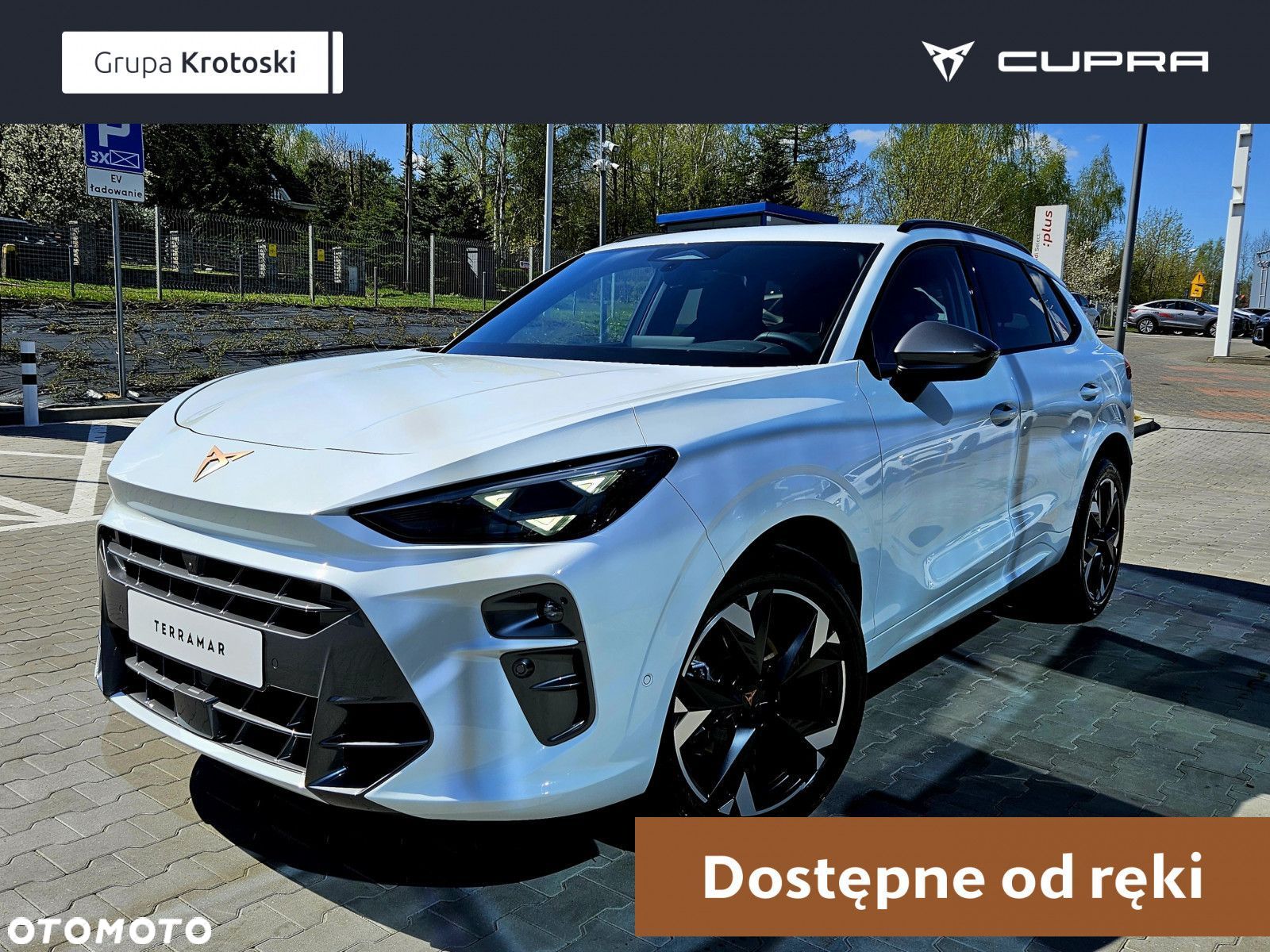 Cupra Terramar - 1