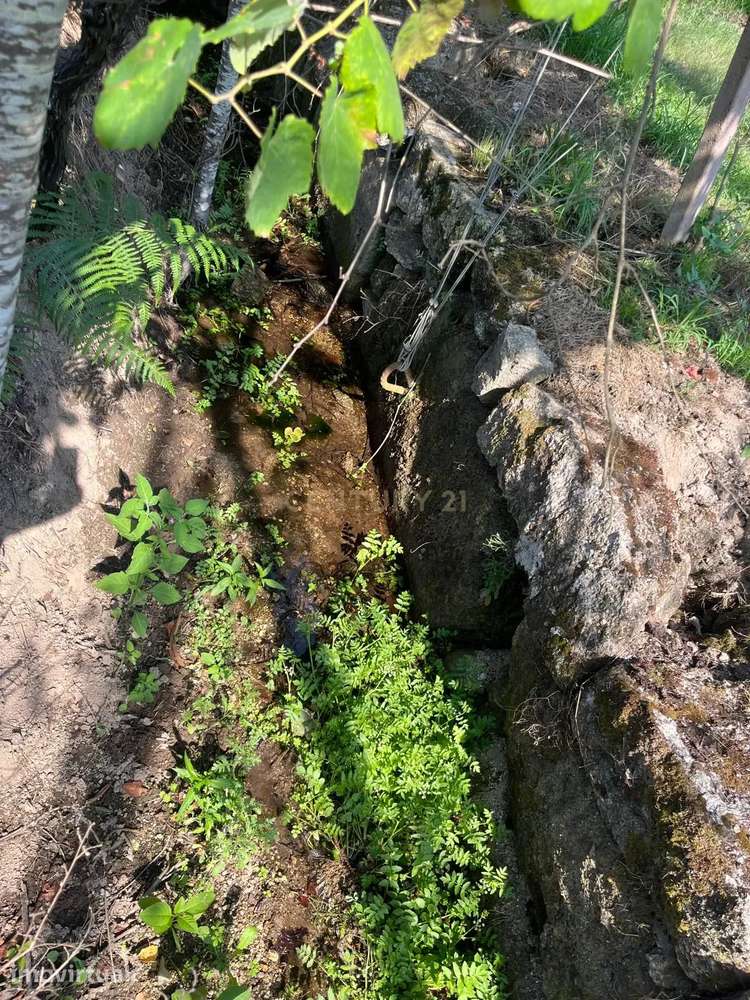 Oportunidade Única: Terreno com 8 300 m² em Padronelo, Amarante - Grande imagem: 5/7