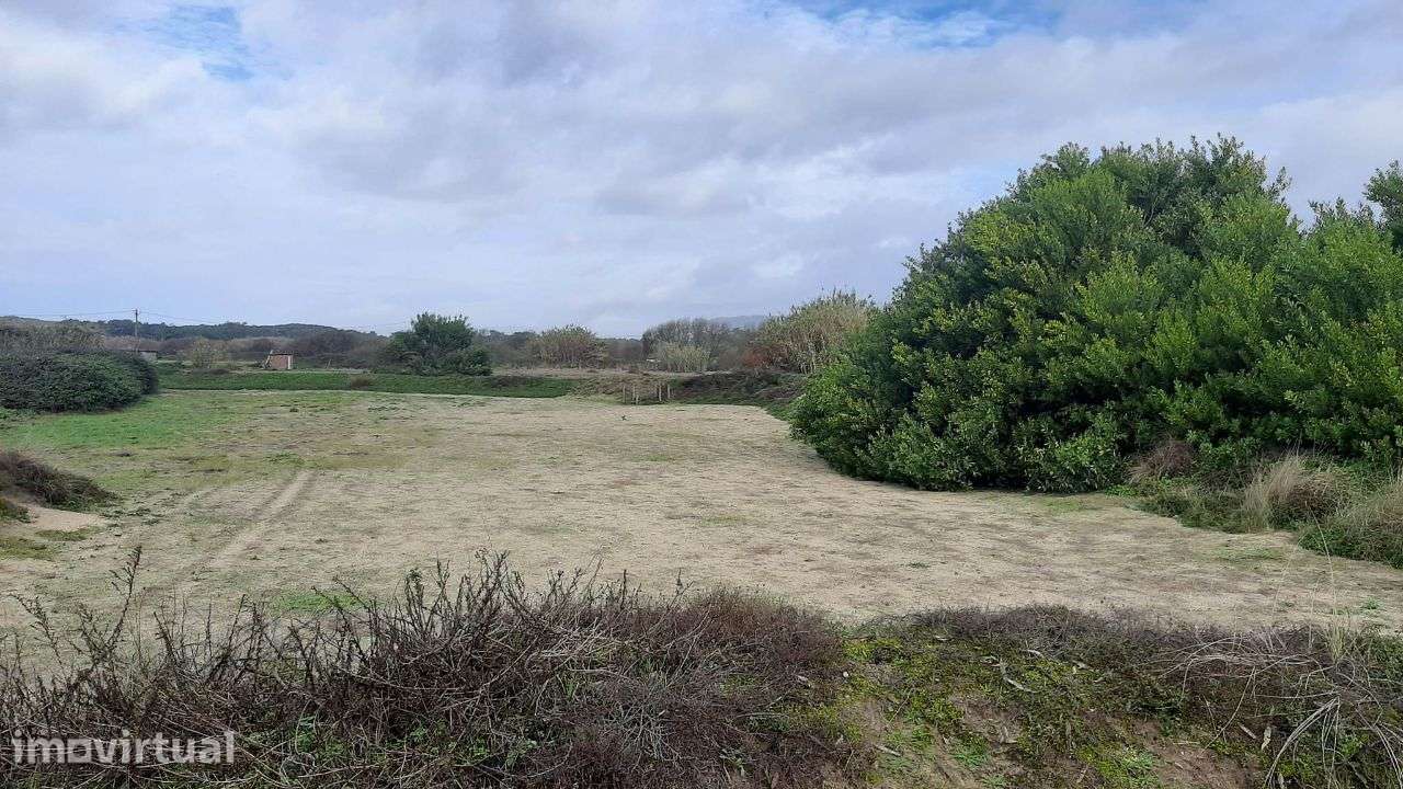 Terreno agrícola em Belinho - Grande imagem: 3/5