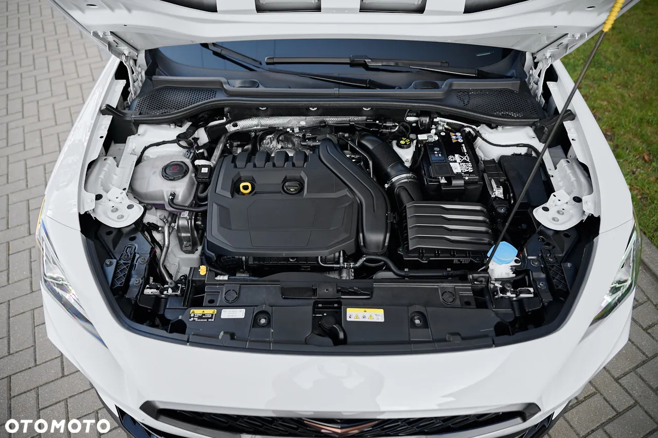 Cupra Formentor 1.5 TSI DSG - 15