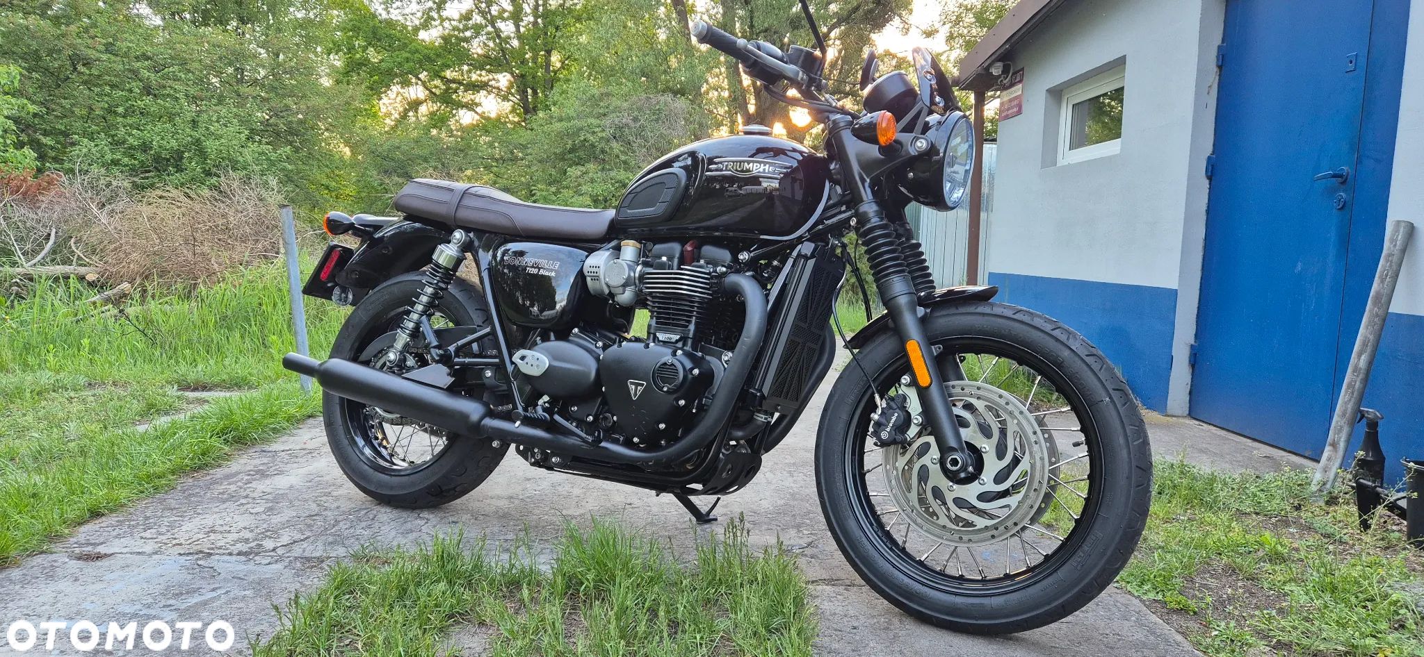 Triumph Bonneville - 1