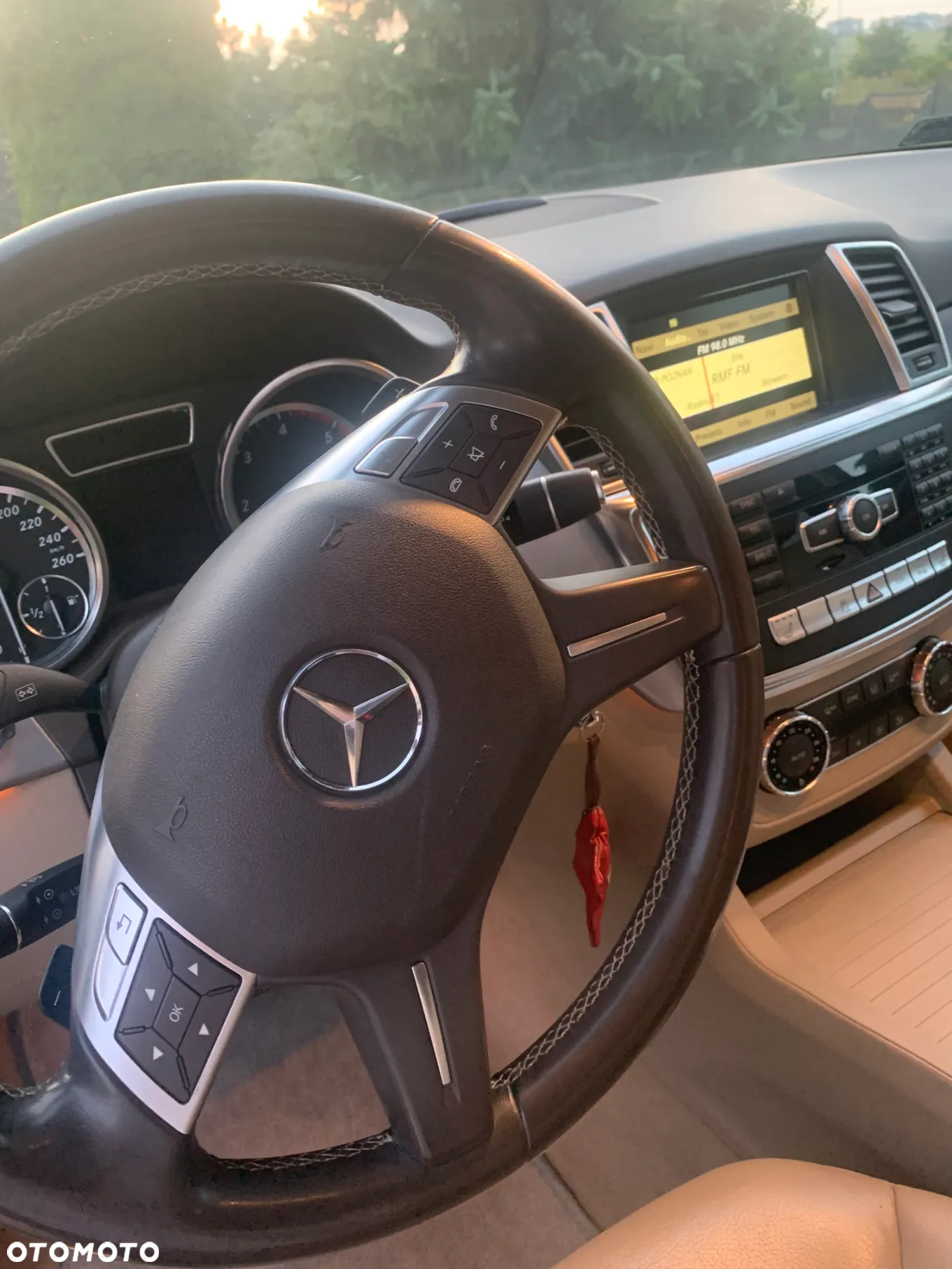 Mercedes-Benz ML 350 BlueTEC 4MATIC 7G-TRONIC - 9