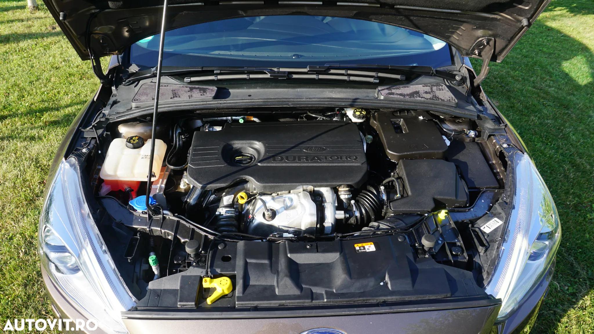 Ford Focus 1.5 EcoBlue Active Business - 34