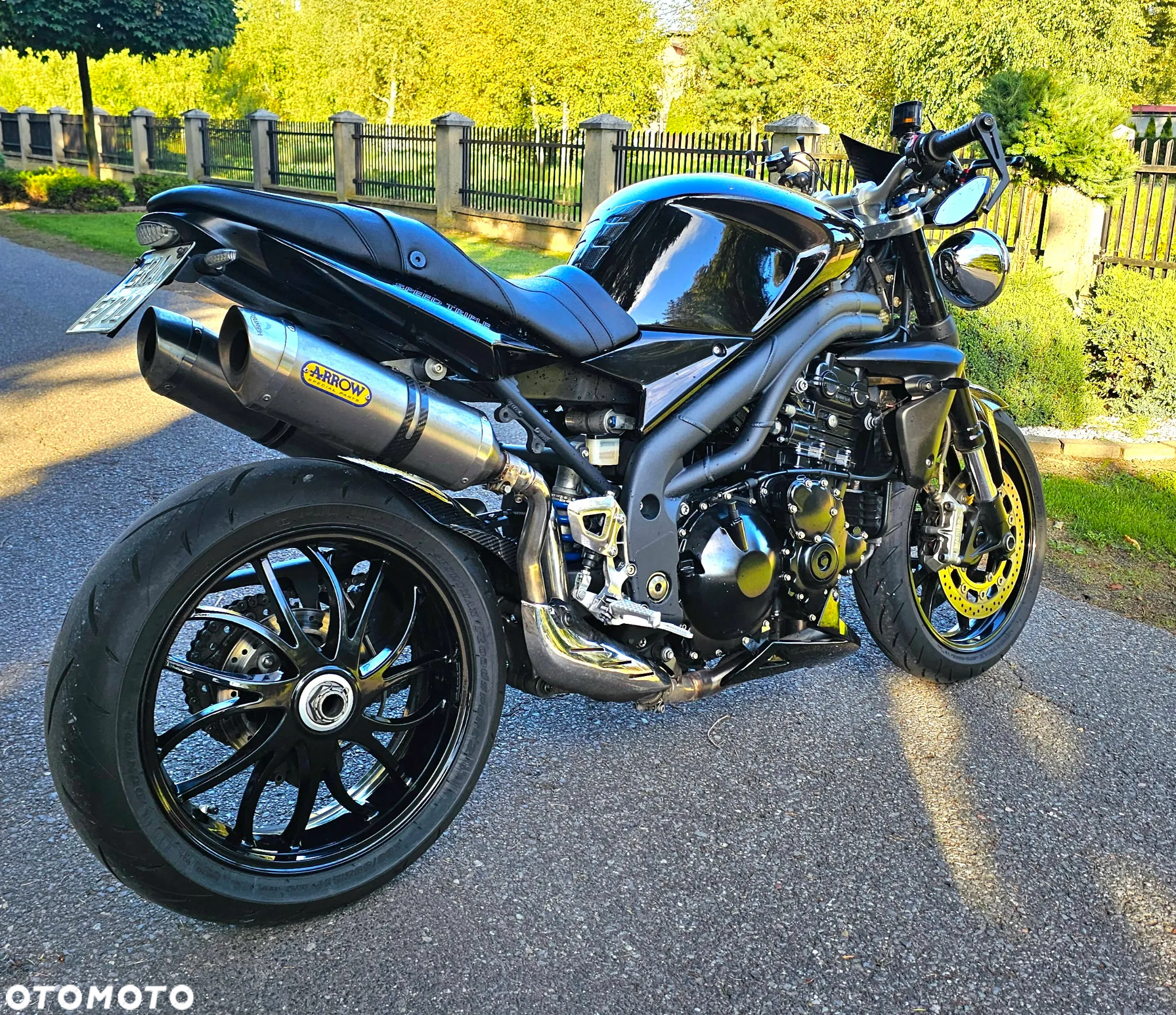 Triumph Speed Triple - 6